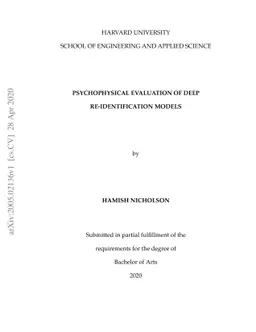 Psychophysical Evaluation of Deep Re-Identification Models