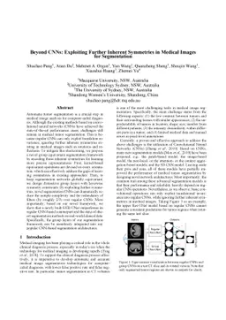 Beyond CNNs: Exploiting Further Inherent Symmetries in Medical Images
  for Segmentation