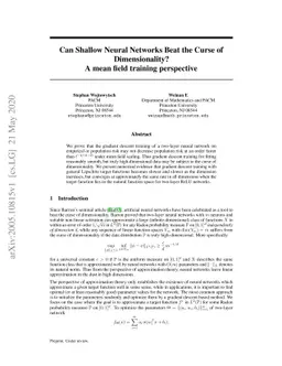 Can Shallow Neural Networks Beat the Curse of Dimensionality? A mean
  field training perspective