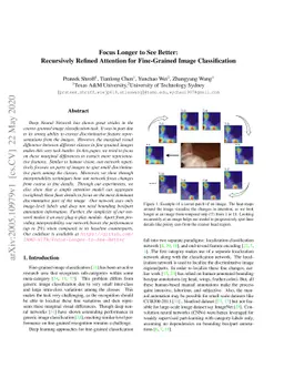 Focus Longer to See Better:Recursively Refined Attention for
  Fine-Grained Image Classification