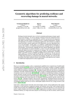 Geometric algorithms for predicting resilience and recovering damage in
  neural networks