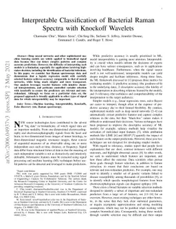Interpretable Classification of Bacterial Raman Spectra with Knockoff
  Wavelets