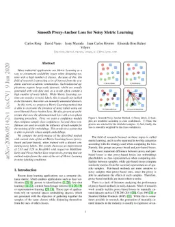 Smooth Proxy-Anchor Loss for Noisy Metric Learning