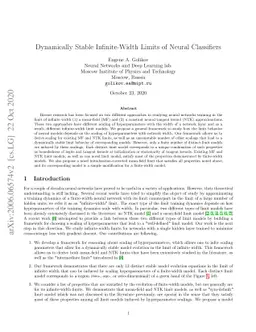 Dynamically Stable Infinite-Width Limits of Neural Classifiers
