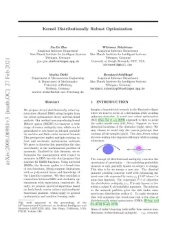 Kernel Distributionally Robust Optimization