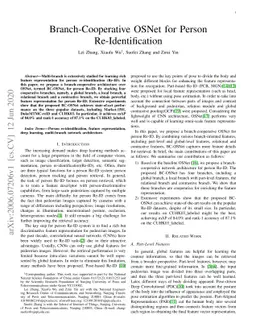 Branch-Cooperative OSNet for Person Re-Identification