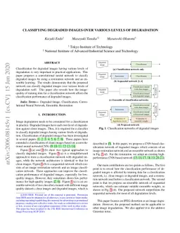 Classifying degraded images over various levels of degradation