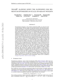 AdamP: Slowing Down the Slowdown for Momentum Optimizers on
  Scale-invariant Weights