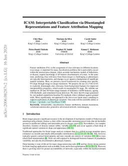 ICAM: Interpretable Classification via Disentangled Representations and
  Feature Attribution Mapping