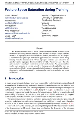 Feature Space Saturation during Training