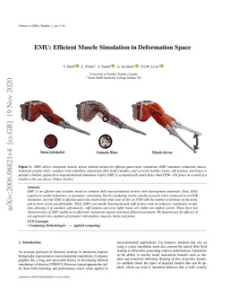 EMU: Efficient Muscle Simulation In Deformation Space