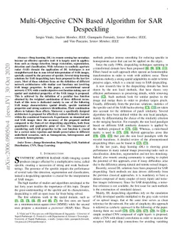 Multi-Objective CNN Based Algorithm for SAR Despeckling
