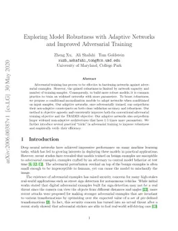 Exploring Model Robustness with Adaptive Networks and Improved
  Adversarial Training