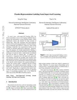 Pseudo-Representation Labeling Semi-Supervised Learning