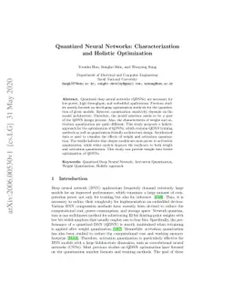 Quantized Neural Networks: Characterization and Holistic Optimization