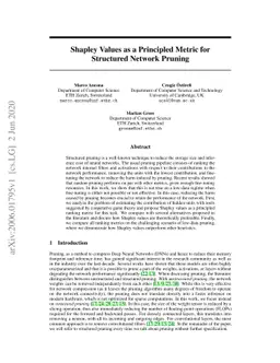 Shapley Value as Principled Metric for Structured Network Pruning