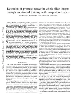 Detection of prostate cancer in whole-slide images through end-to-end
  training with image-level labels