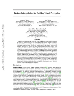 Texture Interpolation for Probing Visual Perception
