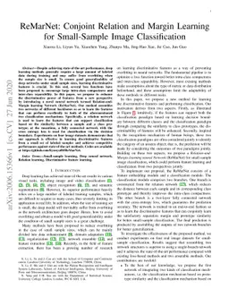 ReMarNet: Conjoint Relation and Margin Learning for Small-Sample Image
  Classification