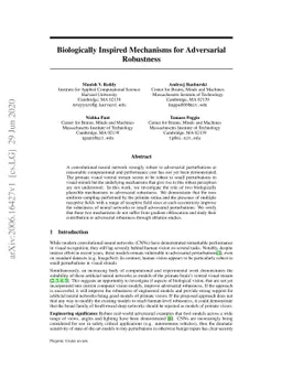 Biologically Inspired Mechanisms for Adversarial Robustness