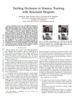 Tackling Occlusion in Siamese Tracking with Structured Dropouts
