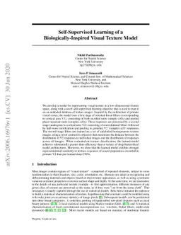 Self-Supervised Learning of a Biologically-Inspired Visual Texture Model