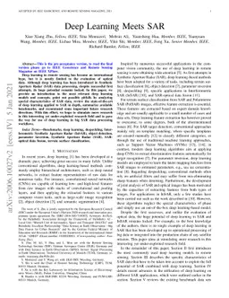 Deep Learning Meets SAR