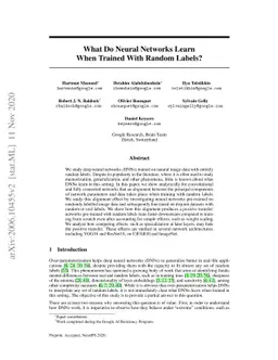 What Do Neural Networks Learn When Trained With Random Labels?