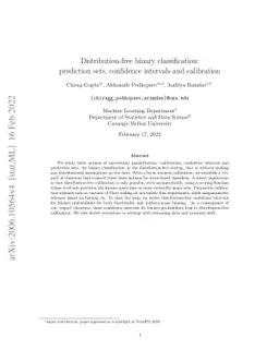 Distribution-free binary classification: prediction sets, confidence
  intervals and calibration