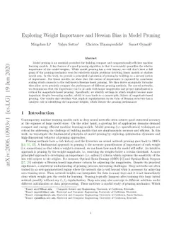 Exploring Weight Importance and Hessian Bias in Model Pruning