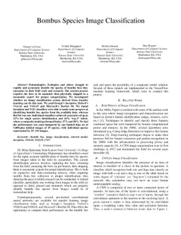 Bombus Species Image Classification
