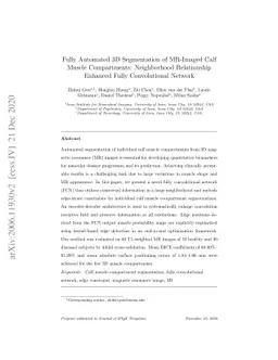 Fully Automated 3D Segmentation of MR-Imaged Calf Muscle Compartments:
  Neighborhood Relationship Enhanced Fully Convolutional Network