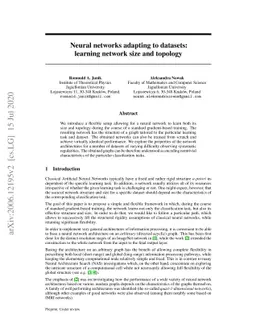 Neural networks adapting to datasets: learning network size and topology
