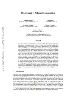 Deep Negative Volume Segmentation