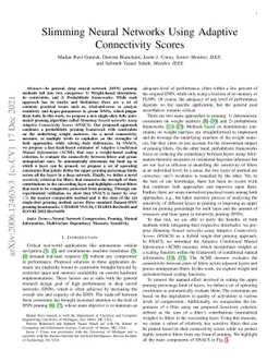 Slimming Neural Networks using Adaptive Connectivity Scores