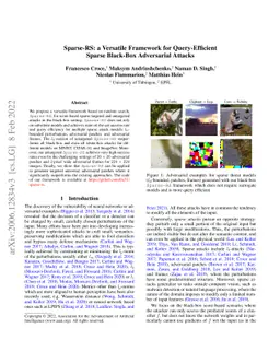 Sparse-RS: a versatile framework for query-efficient sparse black-box
  adversarial attacks