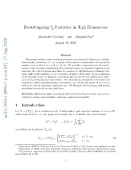 Bootstrapping $\ell_p$-Statistics in High Dimensions