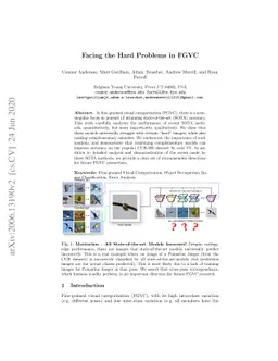 Facing the Hard Problems in FGVC