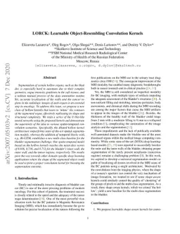 LORCK: Learnable Object-Resembling Convolution Kernels