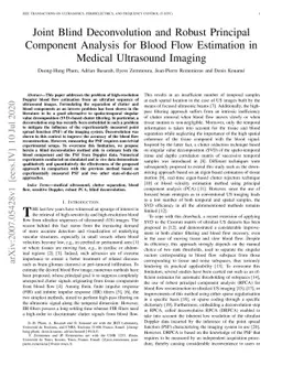 Joint Blind Deconvolution and Robust Principal Component Analysis for
  Blood Flow Estimation in Medical Ultrasound Imaging