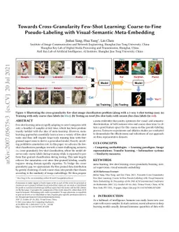 Towards Cross-Granularity Few-Shot Learning: Coarse-to-Fine
  Pseudo-Labeling with Visual-Semantic Meta-Embedding