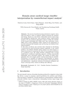 Domain aware medical image classifier interpretation by counterfactual
  impact analysis