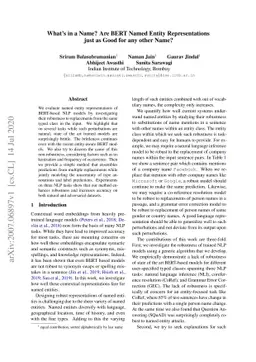 What's in a Name? Are BERT Named Entity Representations just as Good for
  any other Name?