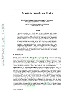 Adversarial Examples and Metrics