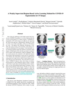 A Weakly Supervised Region-Based Active Learning Method for COVID-19
  Segmentation in CT Images