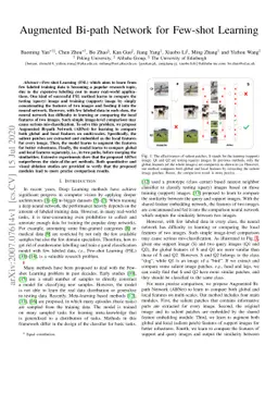 Augmented Bi-path Network for Few-shot Learning
