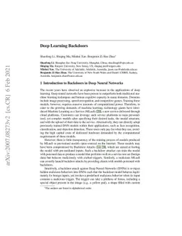 Deep Learning Backdoors