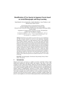 Identification of Tree Species in Japanese Forests based on Aerial
  Photography and Deep Learning