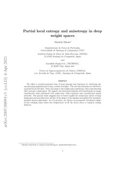 Partial local entropy and anisotropy in deep weight spaces