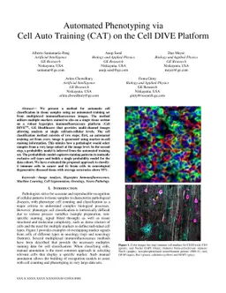 Automated Phenotyping via Cell Auto Training (CAT) on the Cell DIVE
  Platform